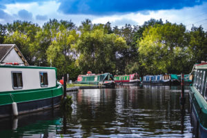 Canal-boats-at-Pyrford-Marina