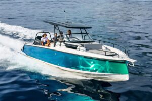 Ryck 280 motor cruiser for sale